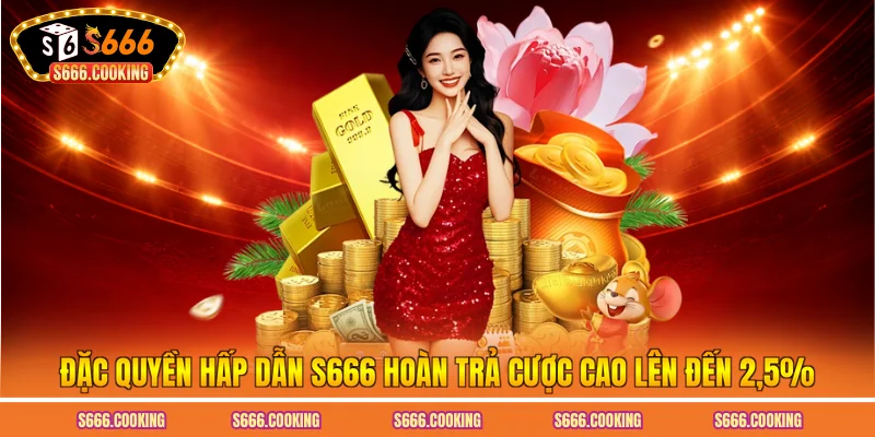Đặc quyền hấp dẫn S666 hoàn trả cược cao lên đến 2.5%