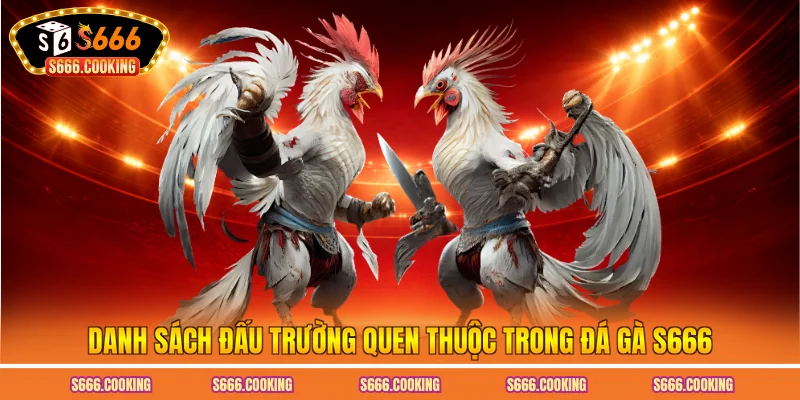 Danh sách đấu trường quen thuộc trong đá gà S666