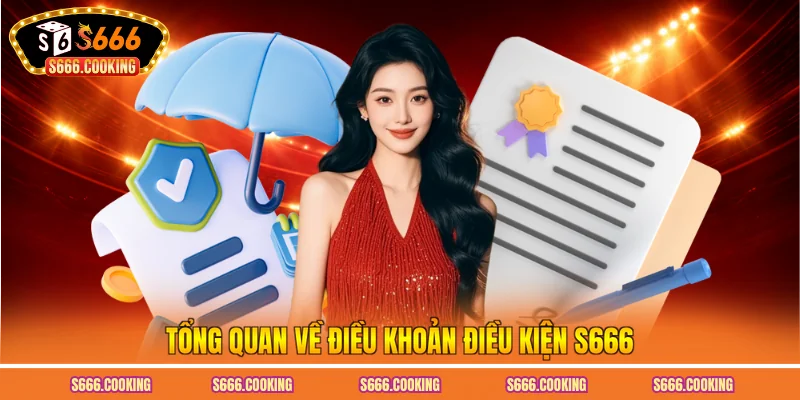 Tổng quan về điều khoản điều kiện S666